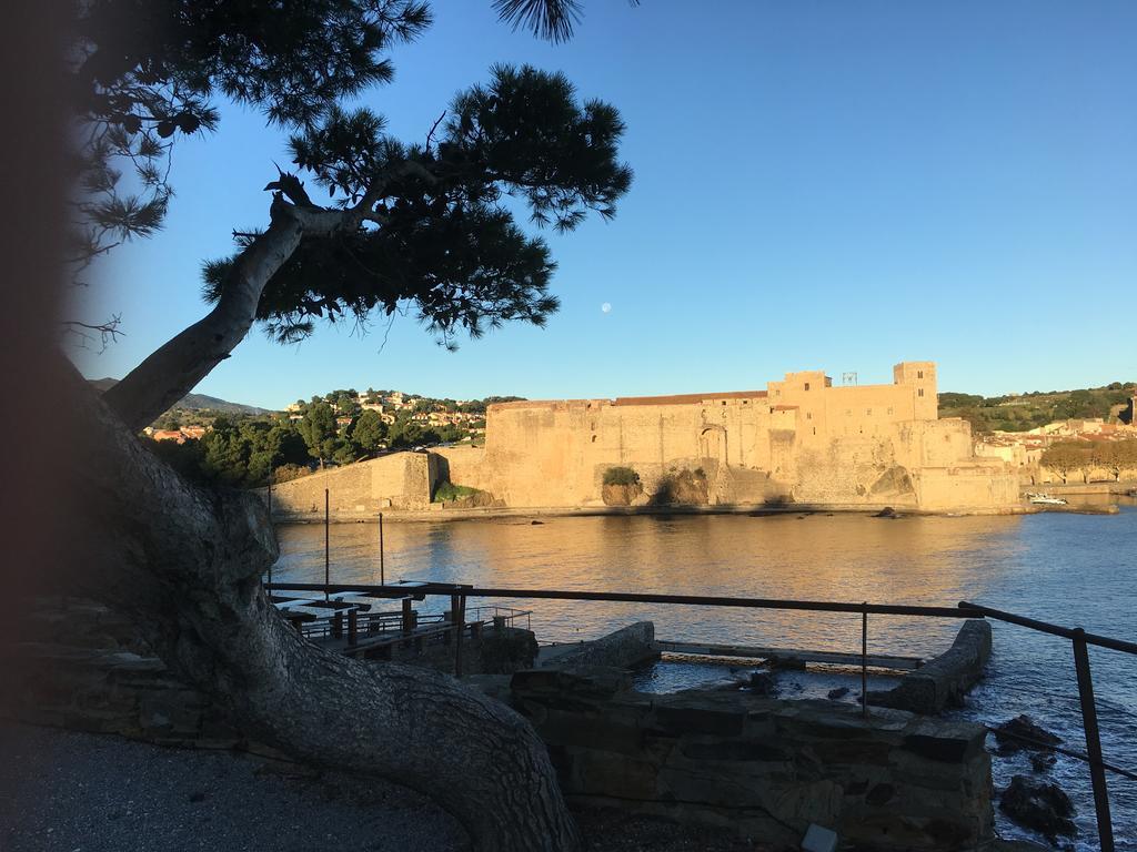 Un Balcon Sur La Mer Port Vendres Zewnętrze zdjęcie