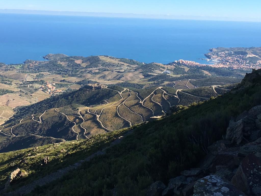 Un Balcon Sur La Mer Port Vendres Zewnętrze zdjęcie